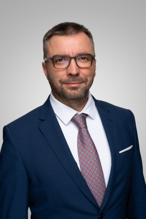 Инж. Юлиус Ферианц, Главен информационен директор